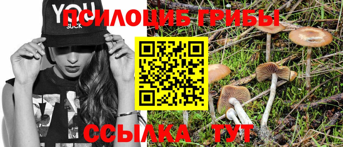 Галлюциногенные грибы мухоморы Воскресенск